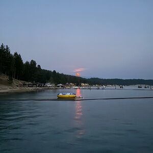 Meet your Posher, Kolbie